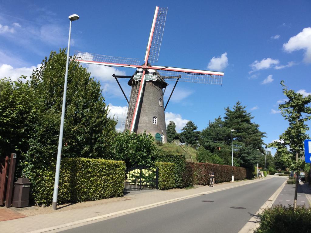 B&B De Grote Plaats Hoogstraten Exterior photo